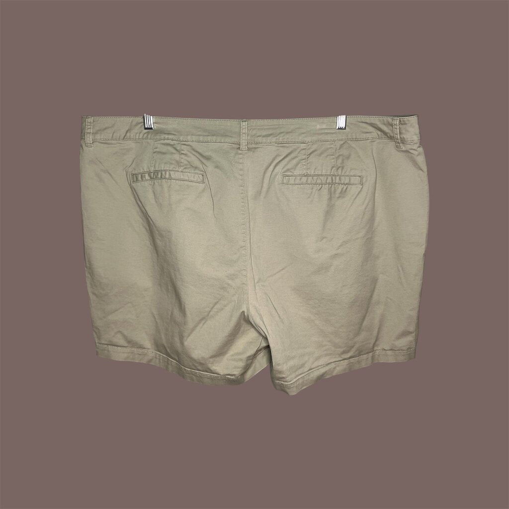 Lane Bryant 24 Shorts