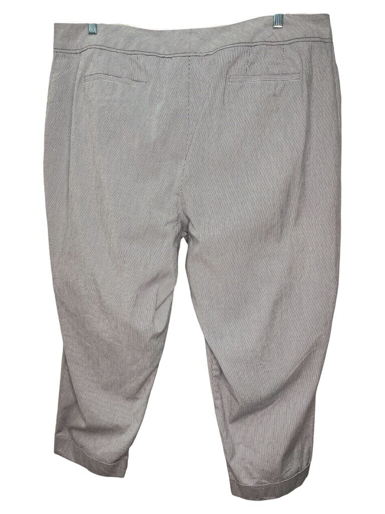 Counterparts Capris 22W
