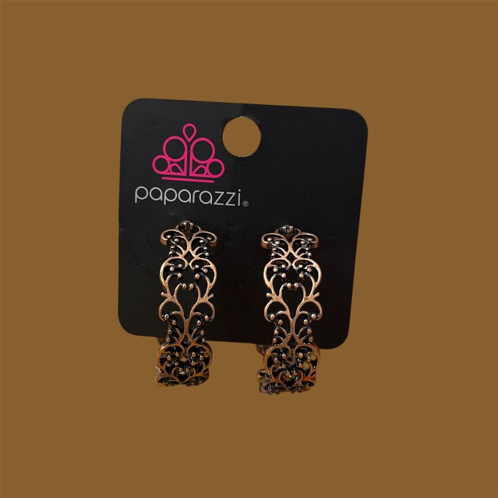 Paparazzi Hoop Earrings