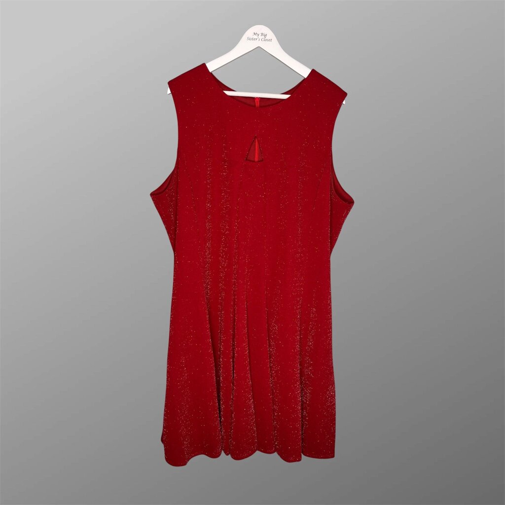 Glamour by Gabriella Skye 24W Dress