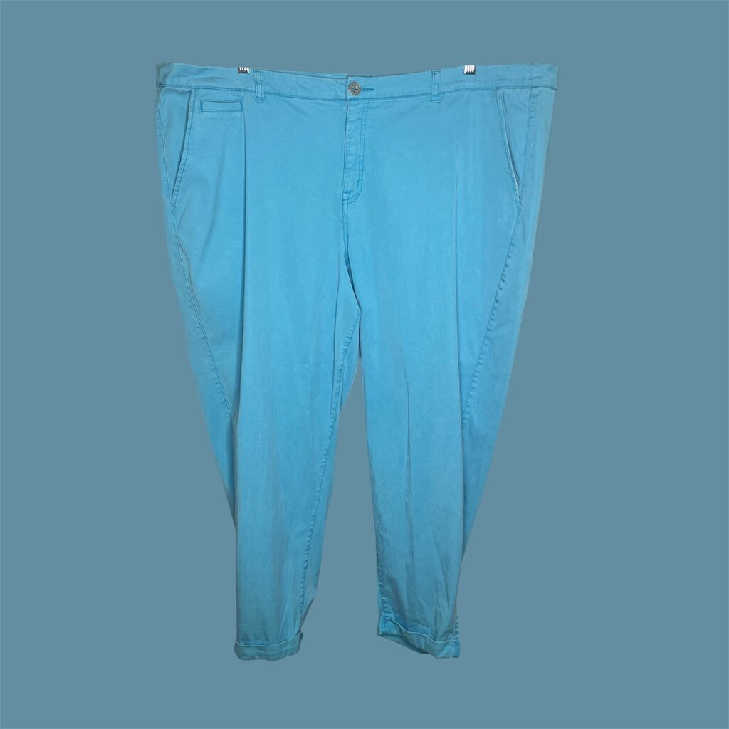 Lane bryant Pants 28