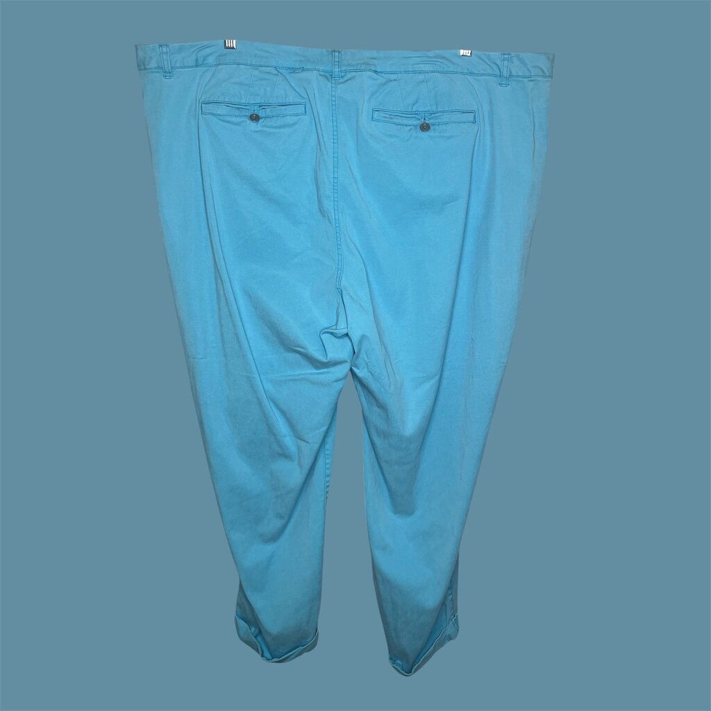 Lane bryant Pants 28