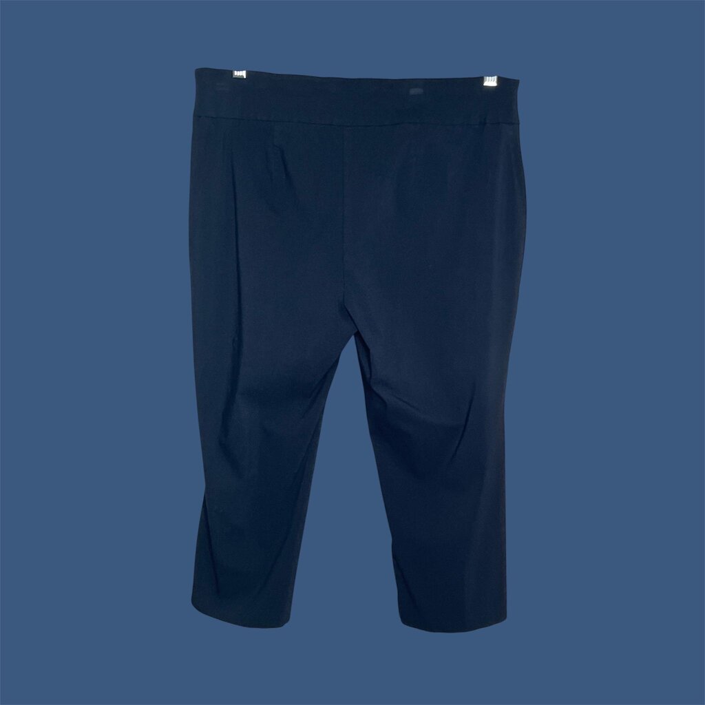 Alfani 16W Capris