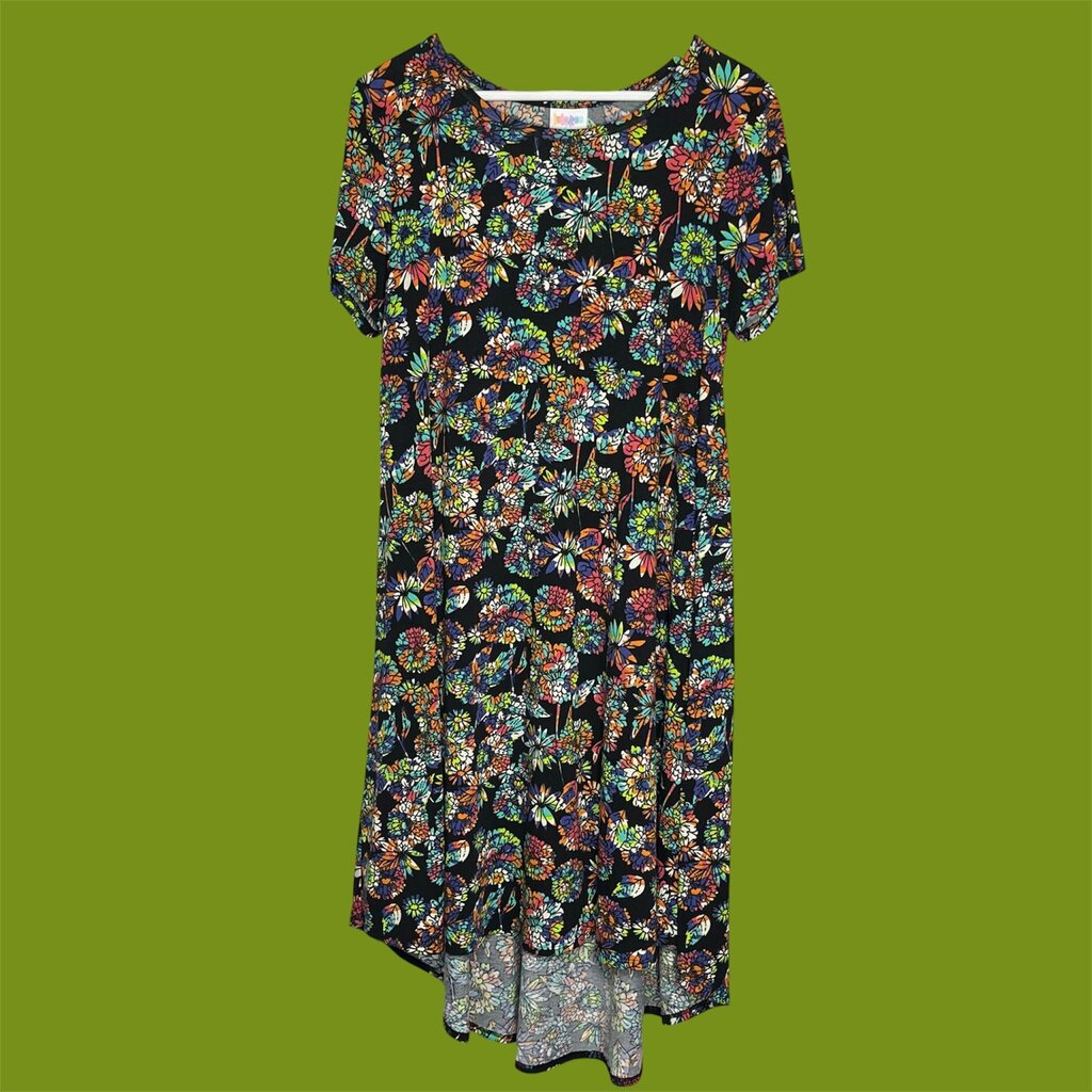 Lula Roe L/14 Dress