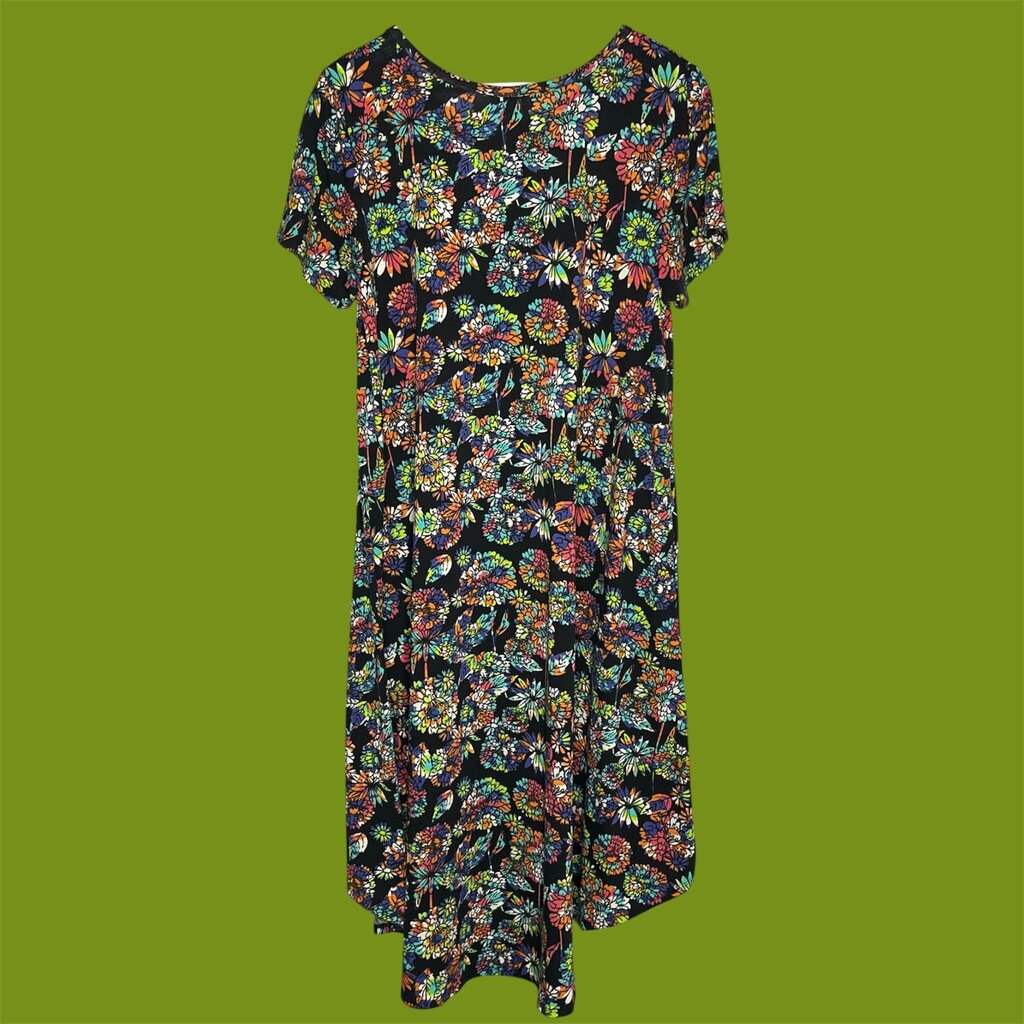 Lula Roe L/14 Dress