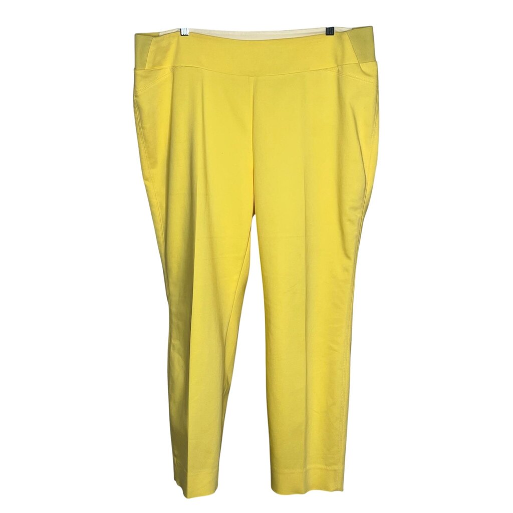 Investments 16 Pants