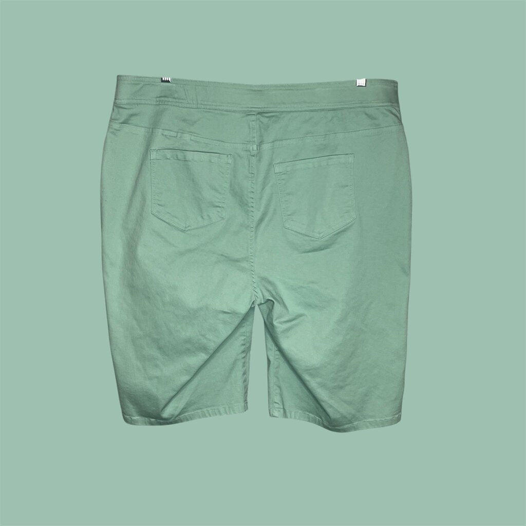 Kim Rogers 18W Shorts