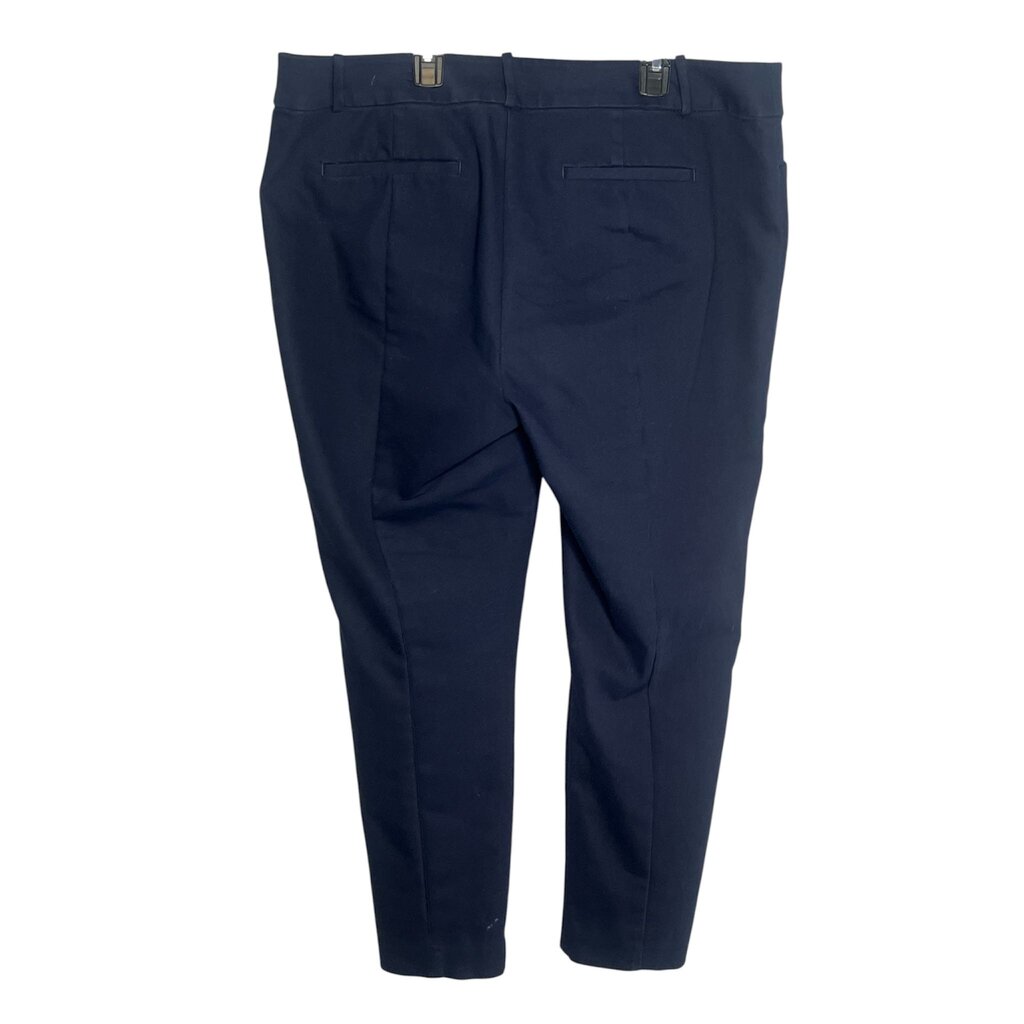 Loft 14 Pants