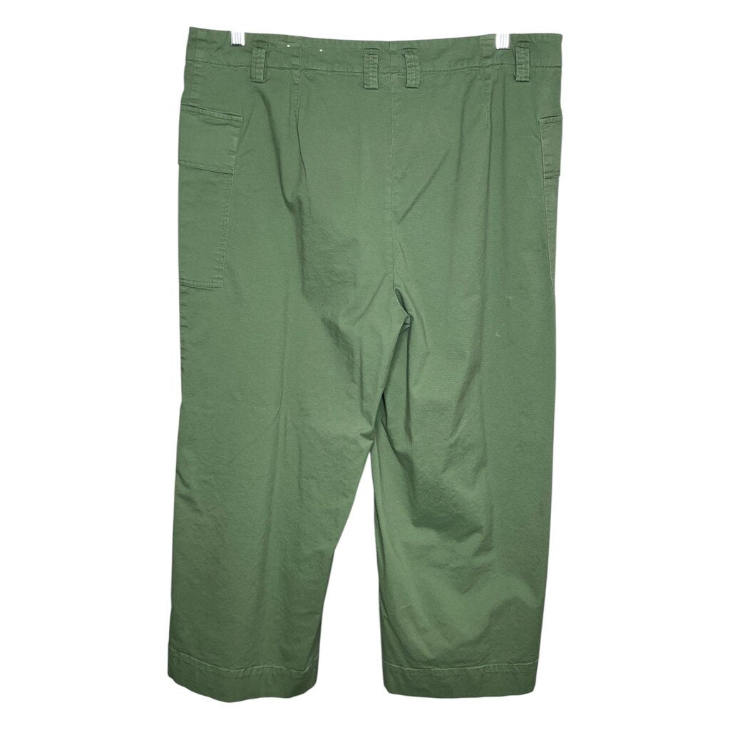 Chico's 3.5/18 Pants