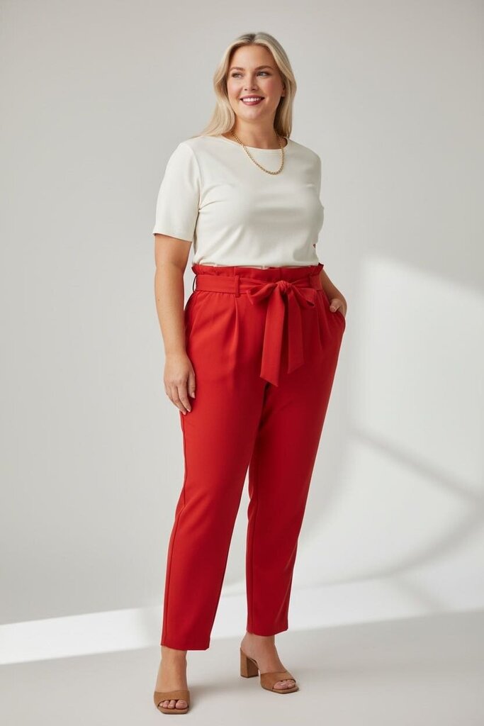 Express 16 Pants