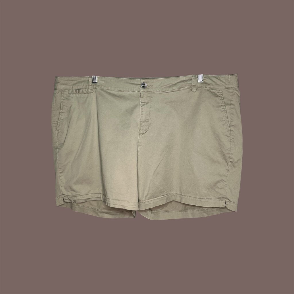 Lane Bryant 24 Shorts