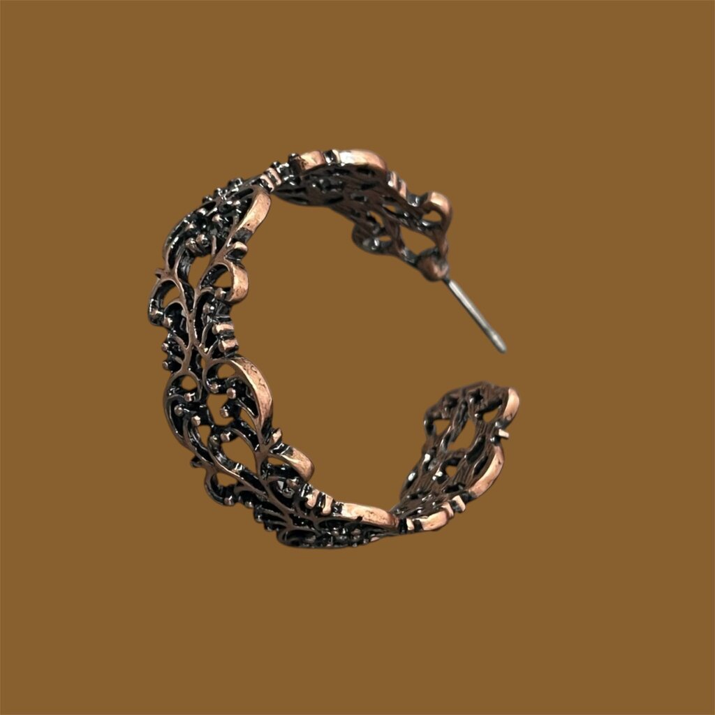 Paparazzi Hoop Earrings