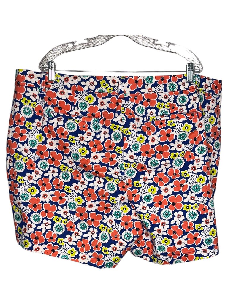 Crown & Ivy 24W Shorts