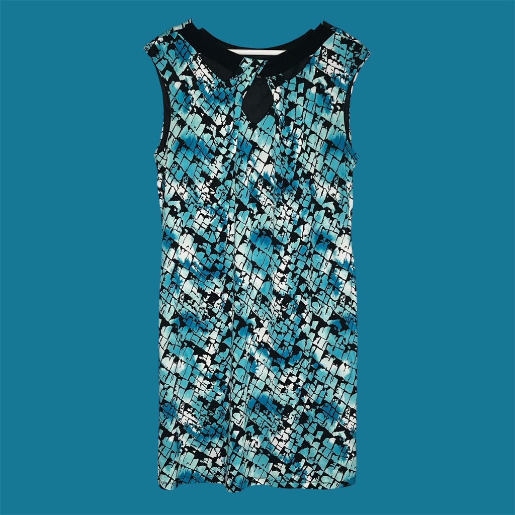Dressbarn 14 Dress
