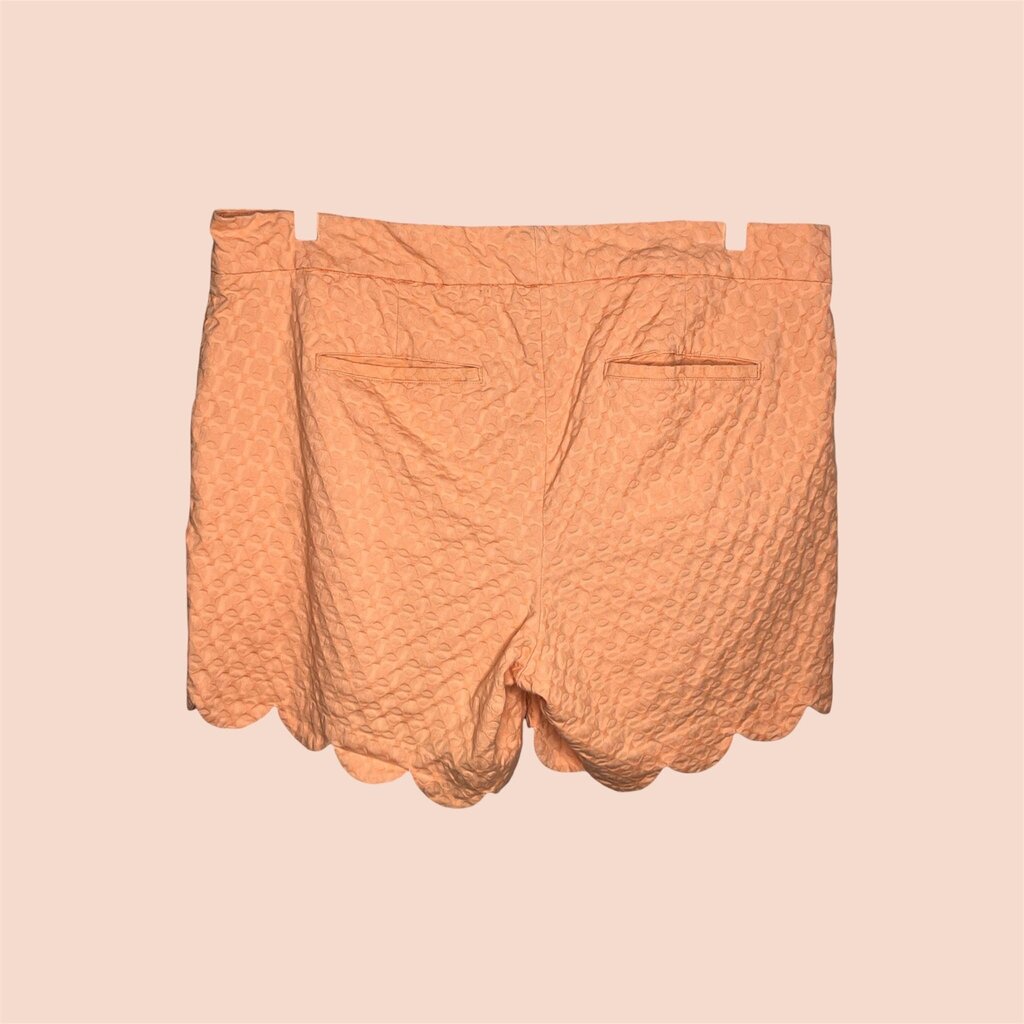 Crown & Ivy 18W Shorts