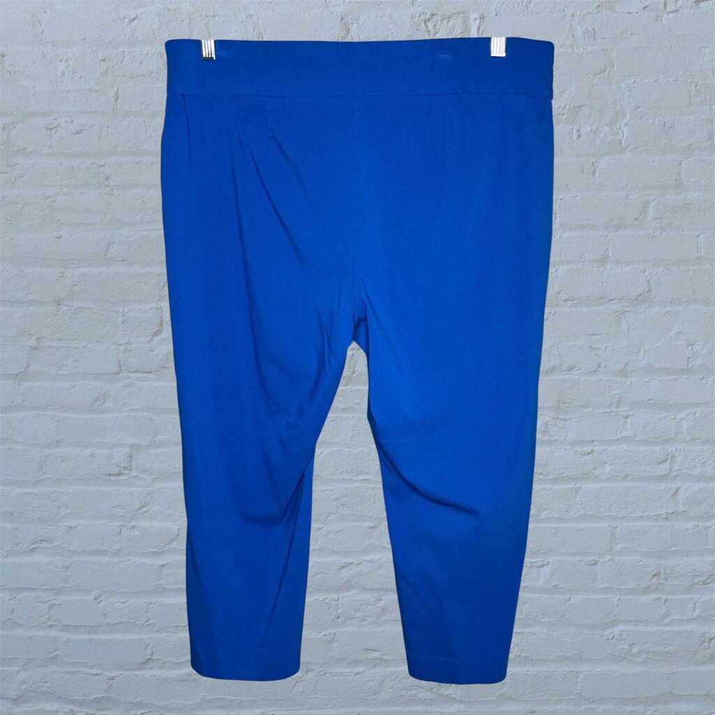 Alfani 16W Capris