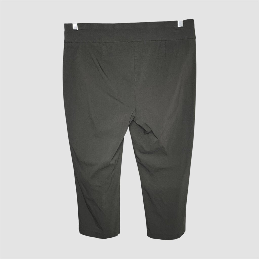 Alfani 16W Capris