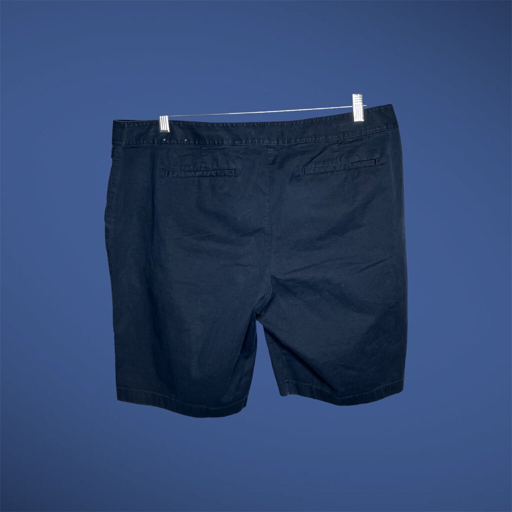 Ann Taylor 18 Shorts