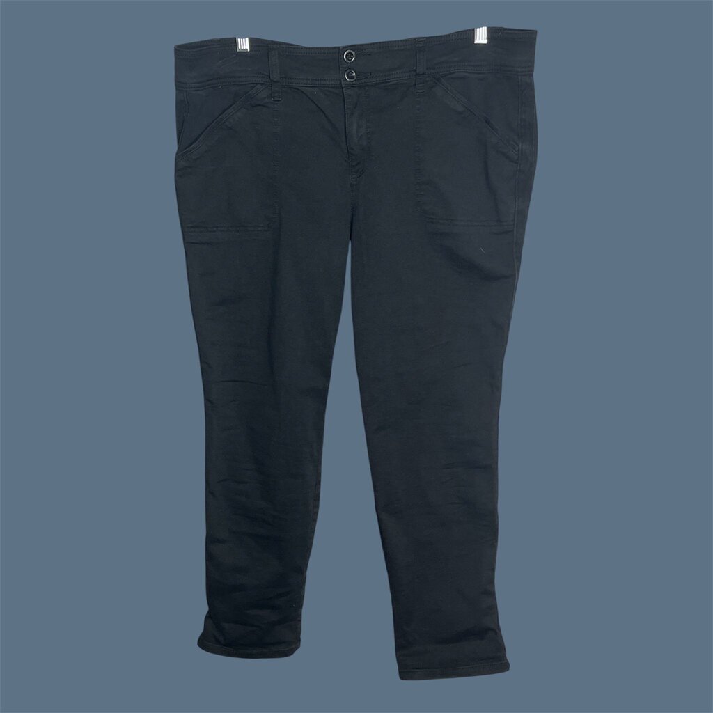 Torrid 20 Pants
