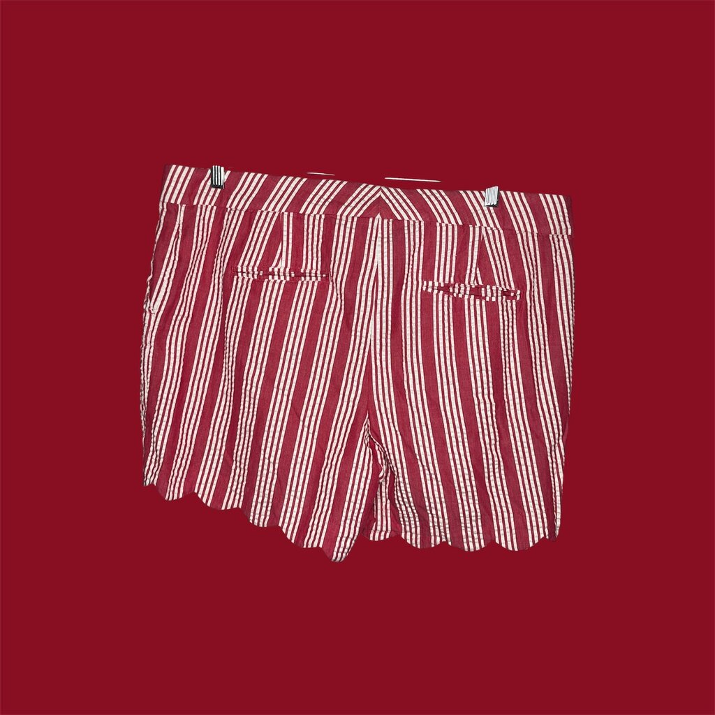 Crown & Ivy 18W Shorts