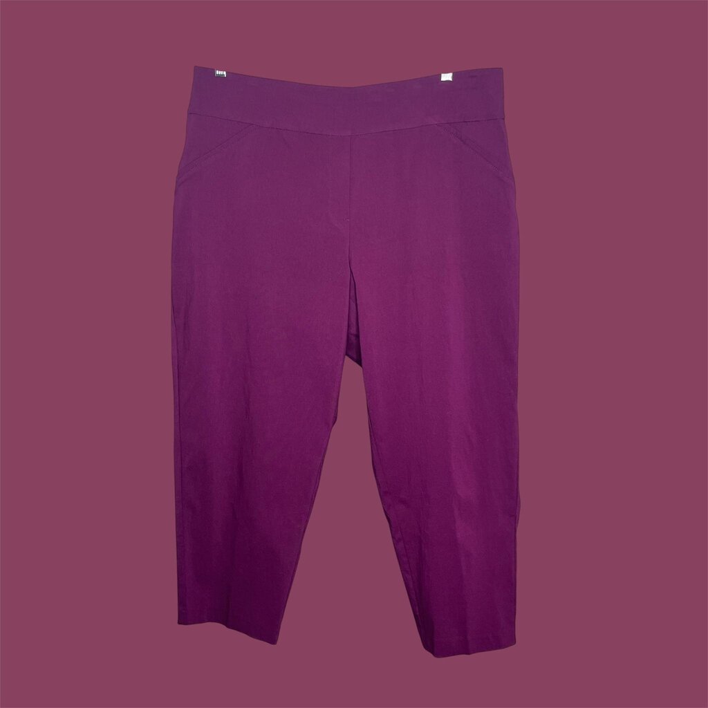Alfred Dunner Size 22WShort Pants…msrp 52.00