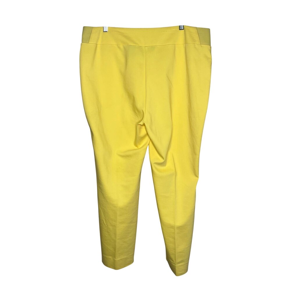 Investments 16 Pants