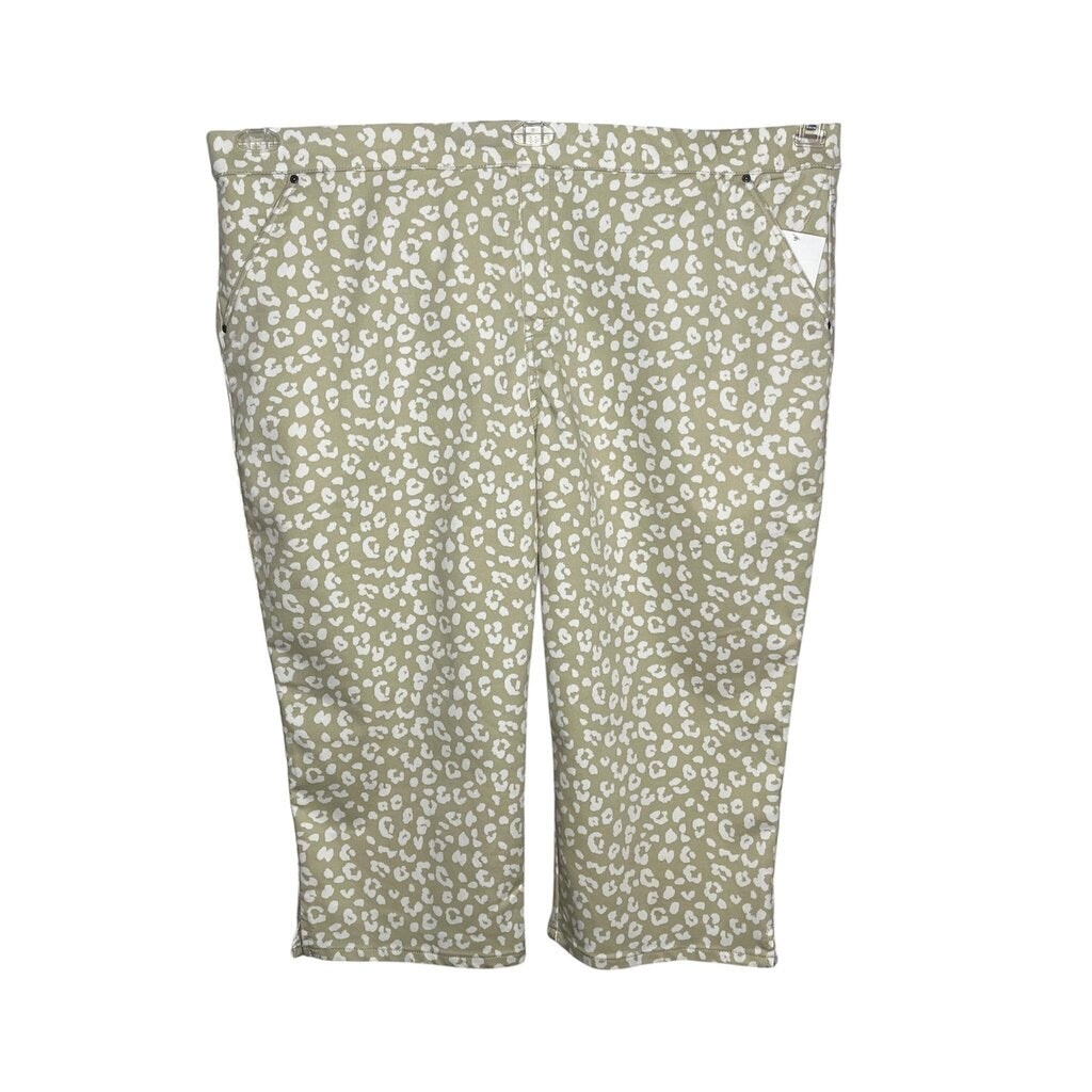 Intro Size 24W Capri..nwt