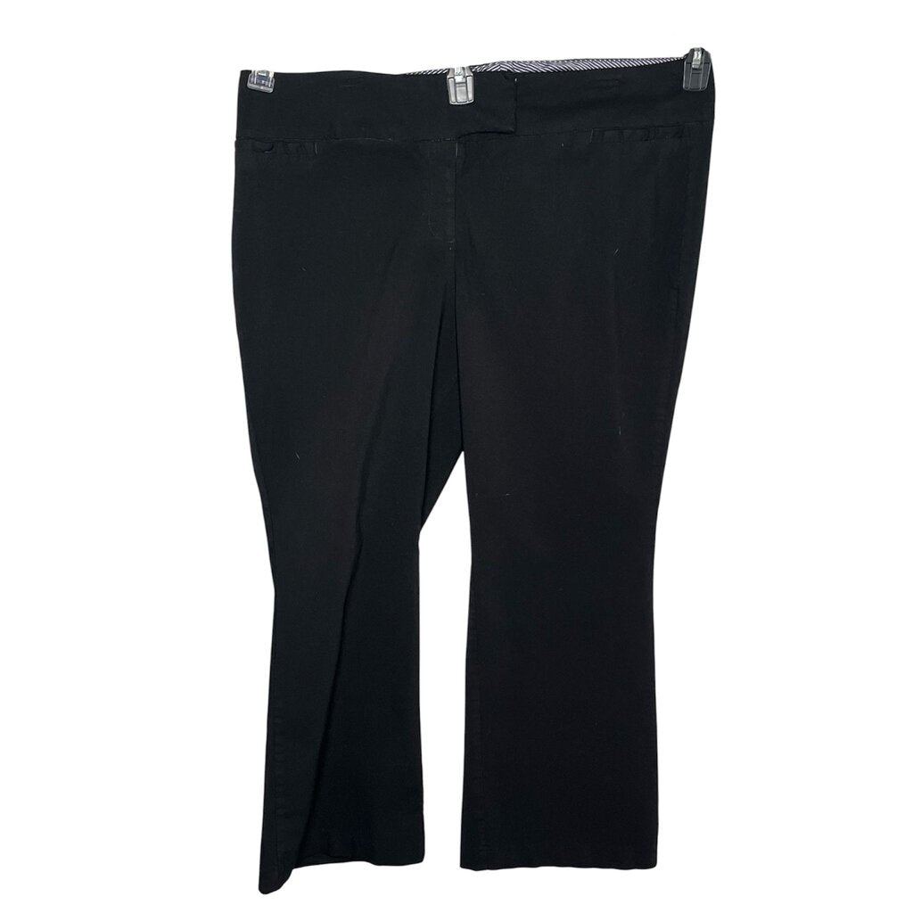 Torrid 22 XShort Pants