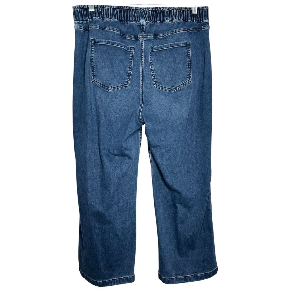 Lane Bryant 16 Short Jeans