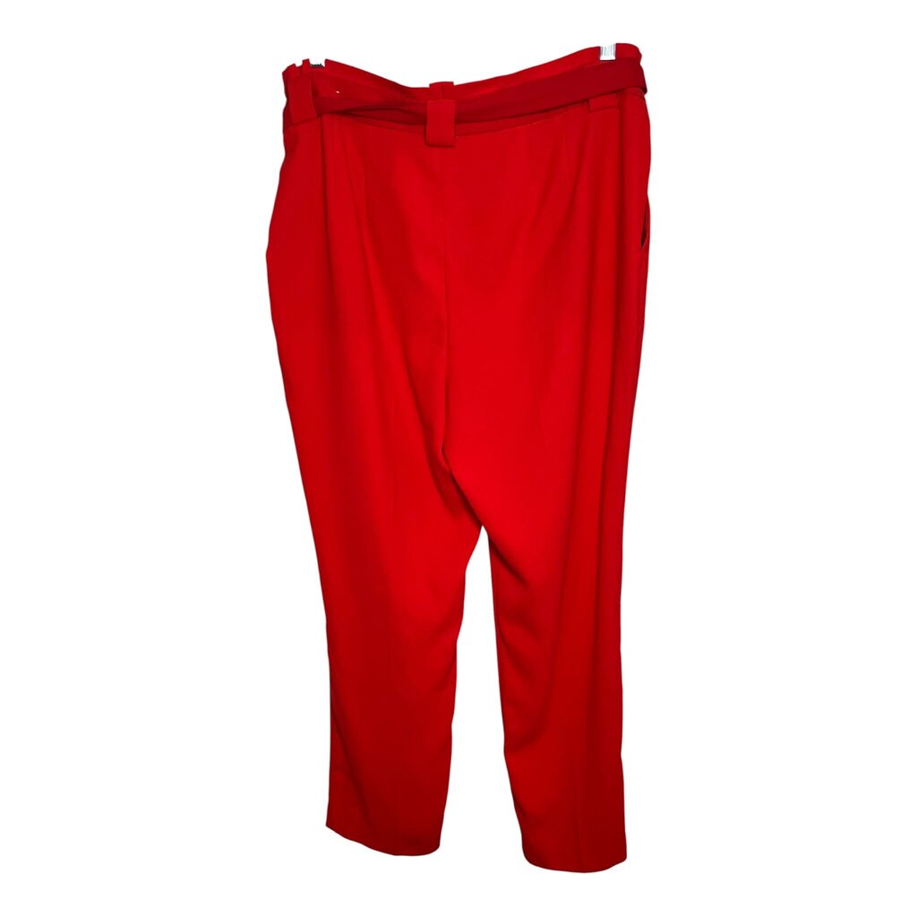 Express 16 Pants