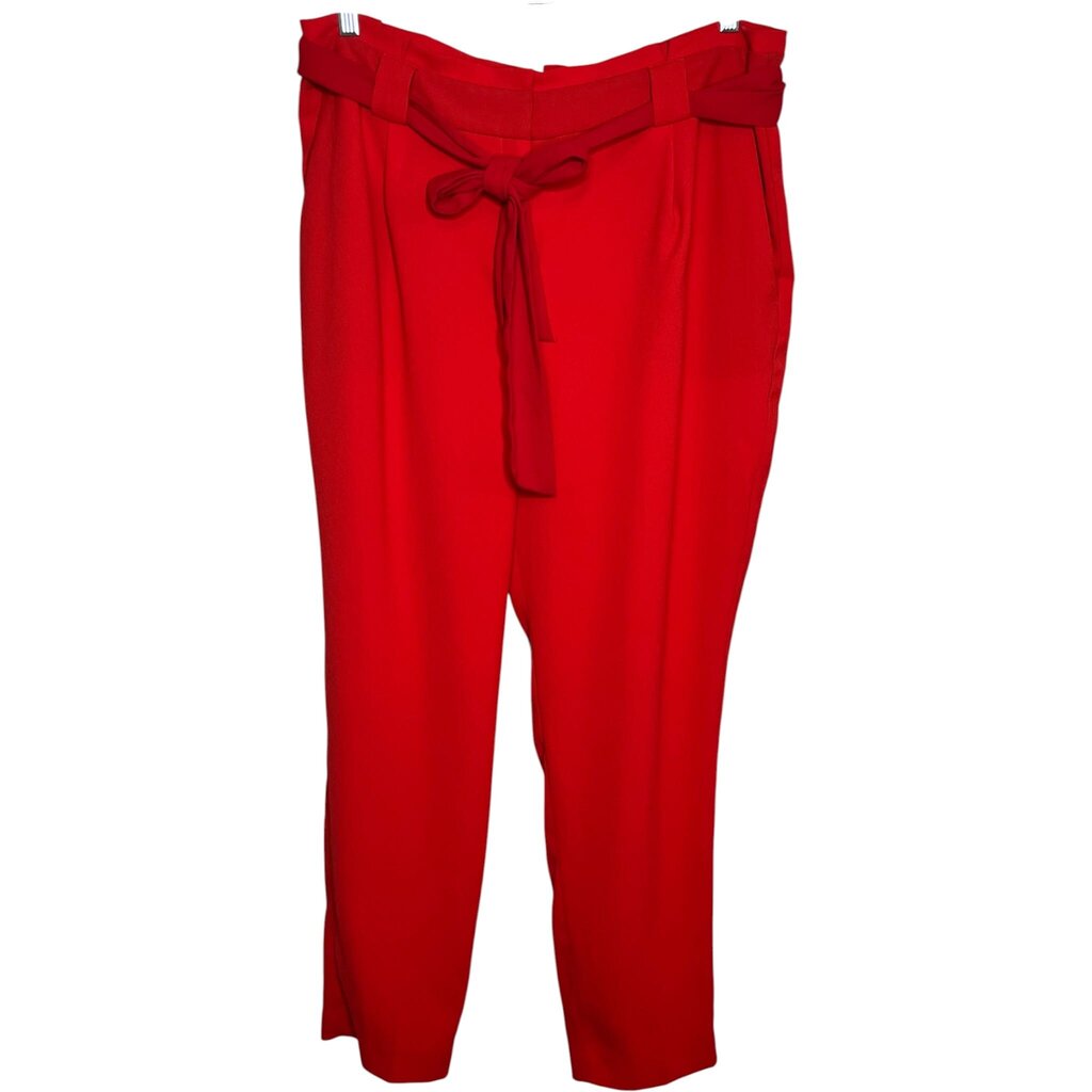 Express 16 Pants