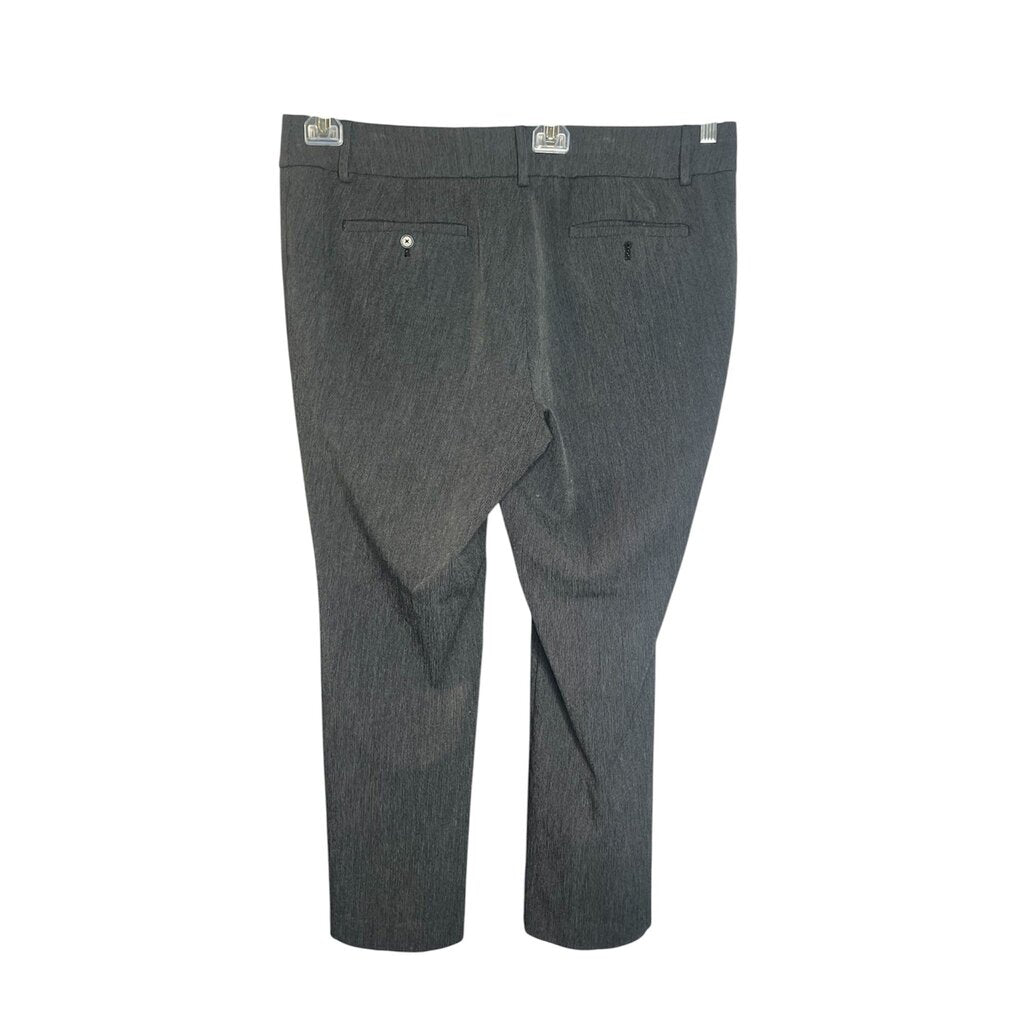 Loft SZ 16 PAnts